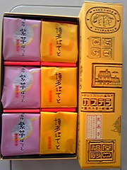 20100206-01.jpg