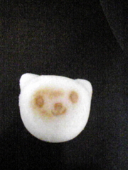 20100302-01.jpg