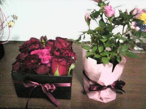 20100512-00.jpg