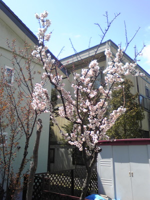 20100514-00.jpg