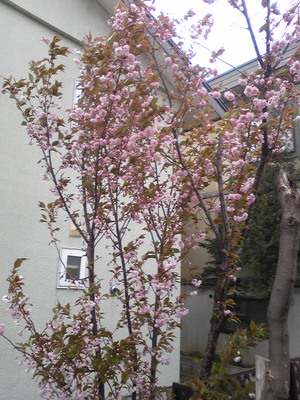 20100519-00.jpg