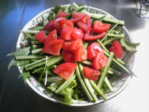 20100523-01.jpg