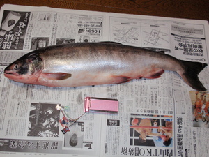 20100928-01.jpg