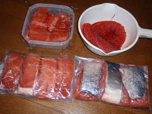 20100928-03.jpg