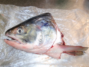 20100928-05.jpg