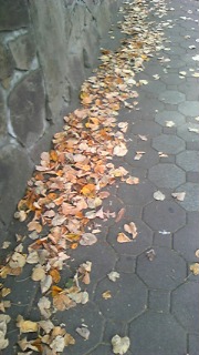 101007_122133_ed.jpg