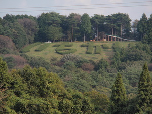20101019-02.jpg