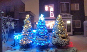 20101214-00.jpg