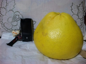 20110220-02.jpg