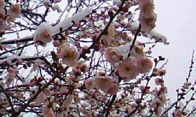 20110309-00.jpg