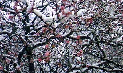 20110309-02.jpg