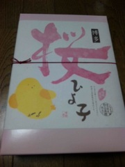 20110328-02.jpg