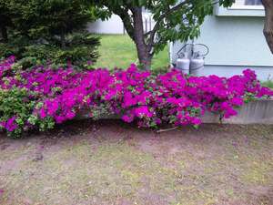 20110612-00.jpg