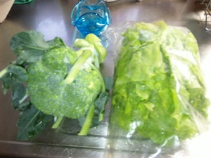 20110716-03.jpg