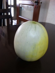 20110821-00.jpg