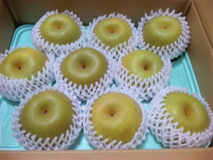 20110821-01.jpg