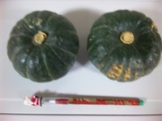 20111003-02.jpg