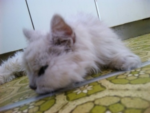 20111005-00.jpg