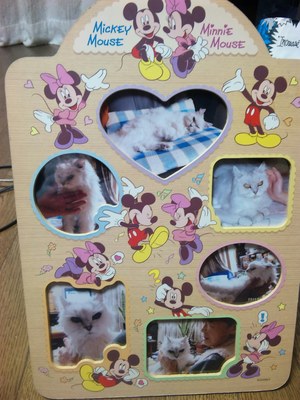 20111009-00.jpg
