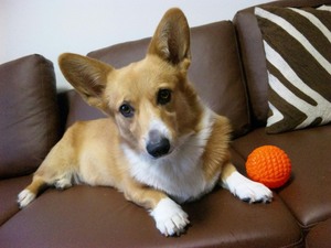 20111109-00.jpg