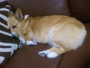 20111109-01.jpg