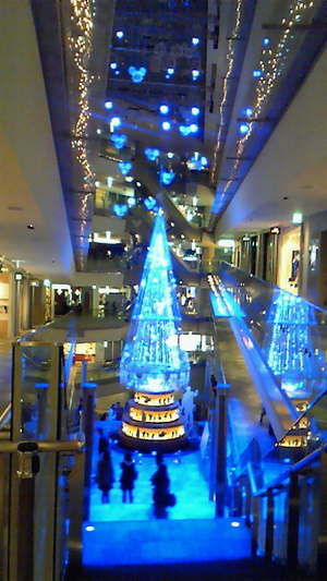 20111115-01.jpg