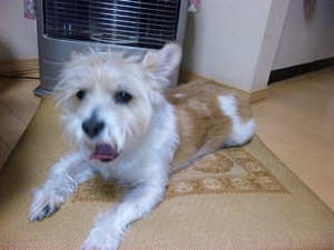 20120205-02.jpg