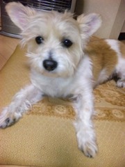 20120205-03.jpg
