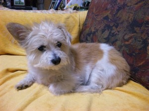 20120305-00.jpg