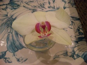 20120329-02.jpg
