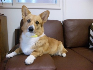 20120424-02.jpg