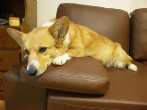 20120424-03.jpg