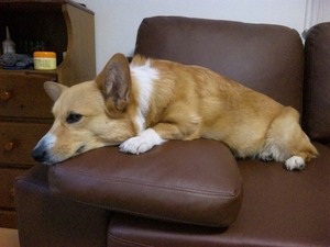 20120424-04.jpg