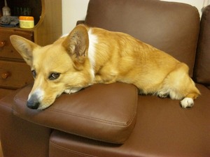 20120424-05.jpg