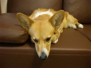20120424-06.jpg