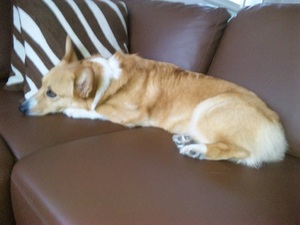 20120424-07.jpg