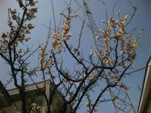 20120509-00.jpg