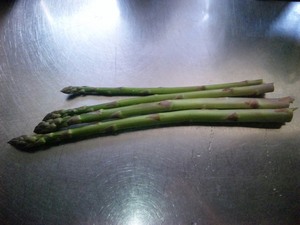 20120520-03.jpg
