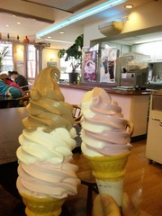 20120524-02.jpg