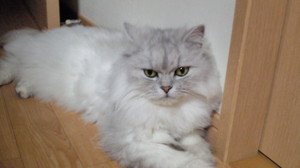 20120629-00.jpg