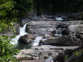 DVC00837.jpg
