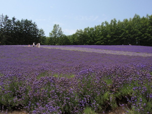 20120720-05.JPG