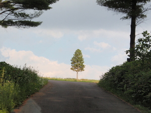 20120720-24.JPG