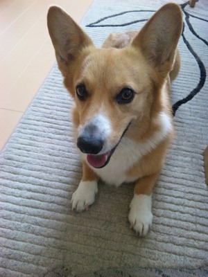 20120723-02.jpg