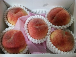 20120729-00.jpg