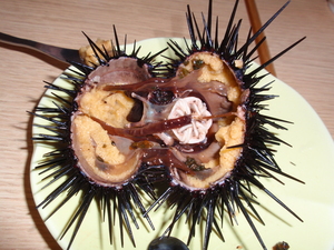 20120809-00.JPG