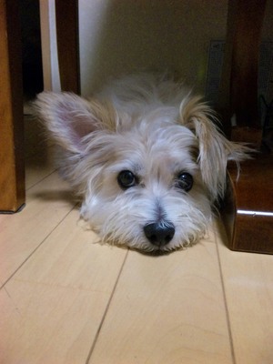 20120813-03.jpg
