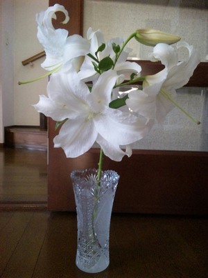 20120819-02.jpg