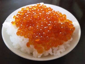 20121002-02.jpg