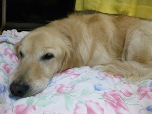 20121022-05.jpg